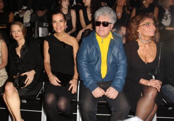 Cliquer pour voir l'image en taille réelle