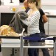 LAXairport7nov_07.jpg