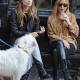 WalksDogandcoffee18oct_06.jpg