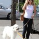 Nom du fichier=WalksPacotogrooming16aout_00.jpg
Taille du fichier=166Ko
Dimensions : 682x1024
Ajouté le : 17 Août 2012 WalksPacotogrooming16aout_00.jpg