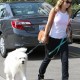 WalksPacotogrooming16aout_05.jpg