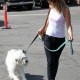 WalksPacotogrooming16aout_07.jpg