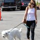 WalksPacotogrooming16aout_10.jpg
