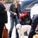 departingfromLAXAirportwithdog_04.jpg