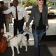 departingfromLAXAirportwithdog_08.jpg
