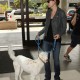 Nom du fichier=departingfromLAXAirportwithdog_11.jpg
Taille du fichier=391Ko
Dimensions : 1309x1800
Ajouté le : 18 Août 2012 departingfromLAXAirportwithdog_11.jpg