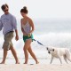 Nom du fichier=enjoyingadayatbeachwithdogandJason_35.jpg
Taille du fichier=226Ko
Dimensions : 1800x1344
Ajouté le : 23 Août 2012 enjoyingadayatbeachwithdogandJason_35.jpg