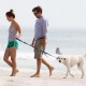 enjoyingadayatbeachwithdogandJason_37.jpg