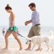 enjoyingadayatbeachwithdogandJason_38.jpg