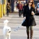 Nom du fichier=withherdogPacoheadstoBlueBottleCoffee_00.jpg
Taille du fichier=340Ko
Dimensions : 1261x1800
Ajouté le : 18 Novembre 2012 withherdogPacoheadstoBlueBottleCoffee_00.jpg
