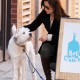 Nom du fichier=withherdogPacoheadstoBlueBottleCoffee_20.jpg
Taille du fichier=406Ko
Dimensions : 1201x1800
Ajouté le : 18 Novembre 2012 withherdogPacoheadstoBlueBottleCoffee_20.jpg