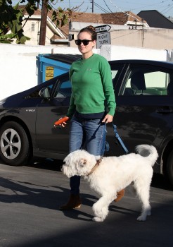 Cliquer pour voir l'image en taille réelle