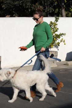 Cliquer pour voir l'image en taille réelle