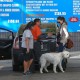 Nom du fichier=CarwashandheadedtotheVeterinary_07.jpg
Taille du fichier=546Ko
Dimensions : 1733x1500
Ajouté le : 22 Janvier 2014 CarwashandheadedtotheVeterinary_07.jpg