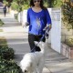 Nom du fichier=walkwithherdogLA_40.JPG
Taille du fichier=563Ko
Dimensions : 1298x1950
Ajouté le : 22 Février 2014 walkwithherdogLA_40.JPG