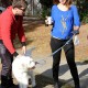Nom du fichier=walkwithherdogLA_58.JPG
Taille du fichier=836Ko
Dimensions : 1300x1950
Ajouté le : 22 Février 2014 walkwithherdogLA_58.JPG