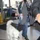 Nom du fichier=OliviaWildedepartingatLAXairport_10.jpg
Taille du fichier=186Ko
Dimensions : 694x1024
Ajouté le : 07 Mars 2014 OliviaWildedepartingatLAXairport_10.jpg