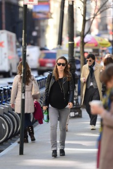 Cliquer pour voir l'image en taille réelle