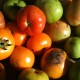 tomates.jpg