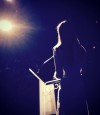 Nom du fichier=99_21_OliviaWilde_ReceivingSpotlightAward_SAVFilmFest_24oct.jpg
Taille du fichier=69Ko
Dimensions : 1080x1080
Ajouté le : 01 Novembre 2015 99_21_OliviaWilde_ReceivingSpotlightAward_SAVFilmFest_24oct.jpg